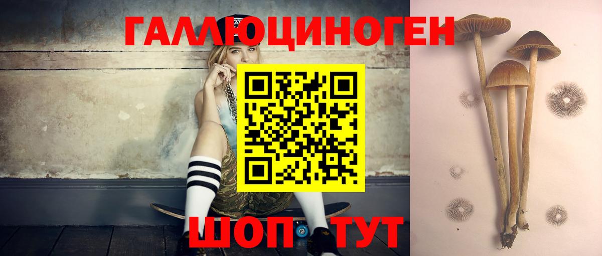 Галлюциногенные грибы ЛСД Тула